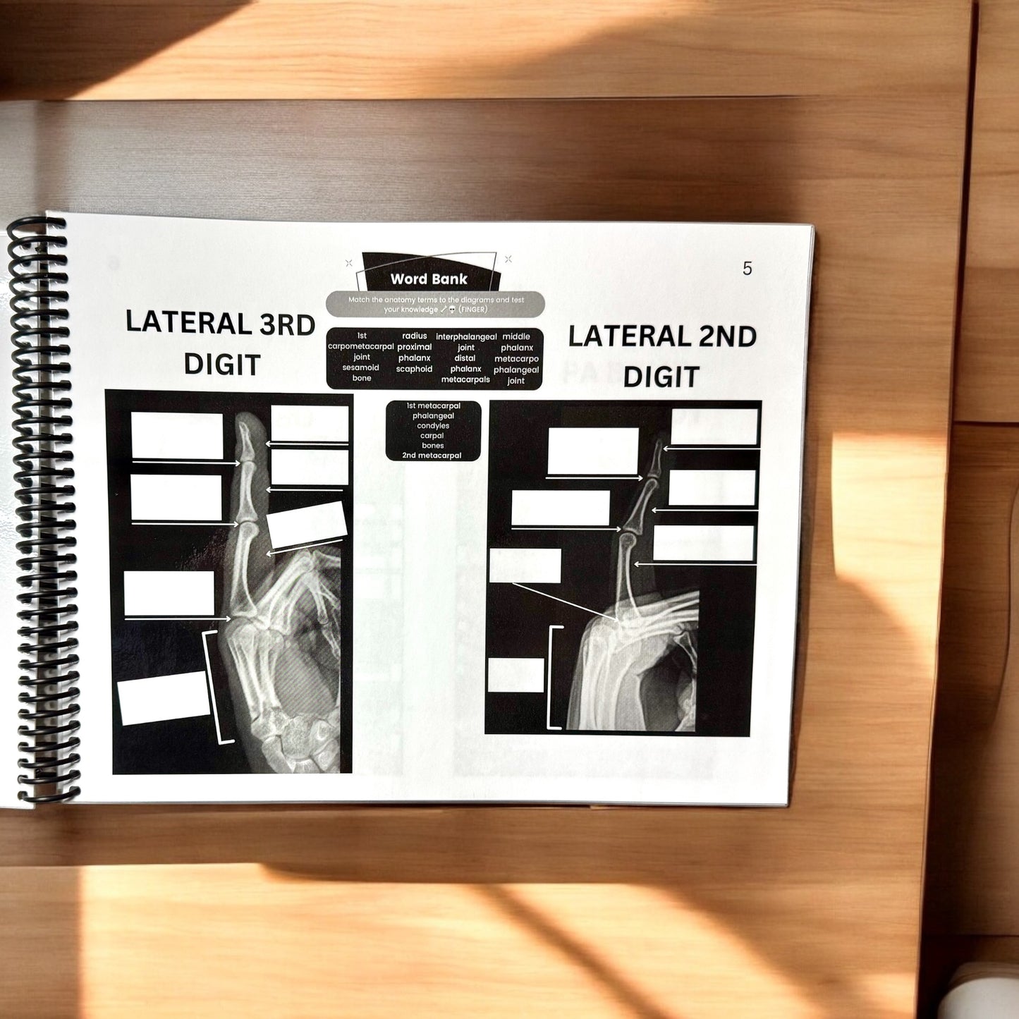 X-Ray Workbook