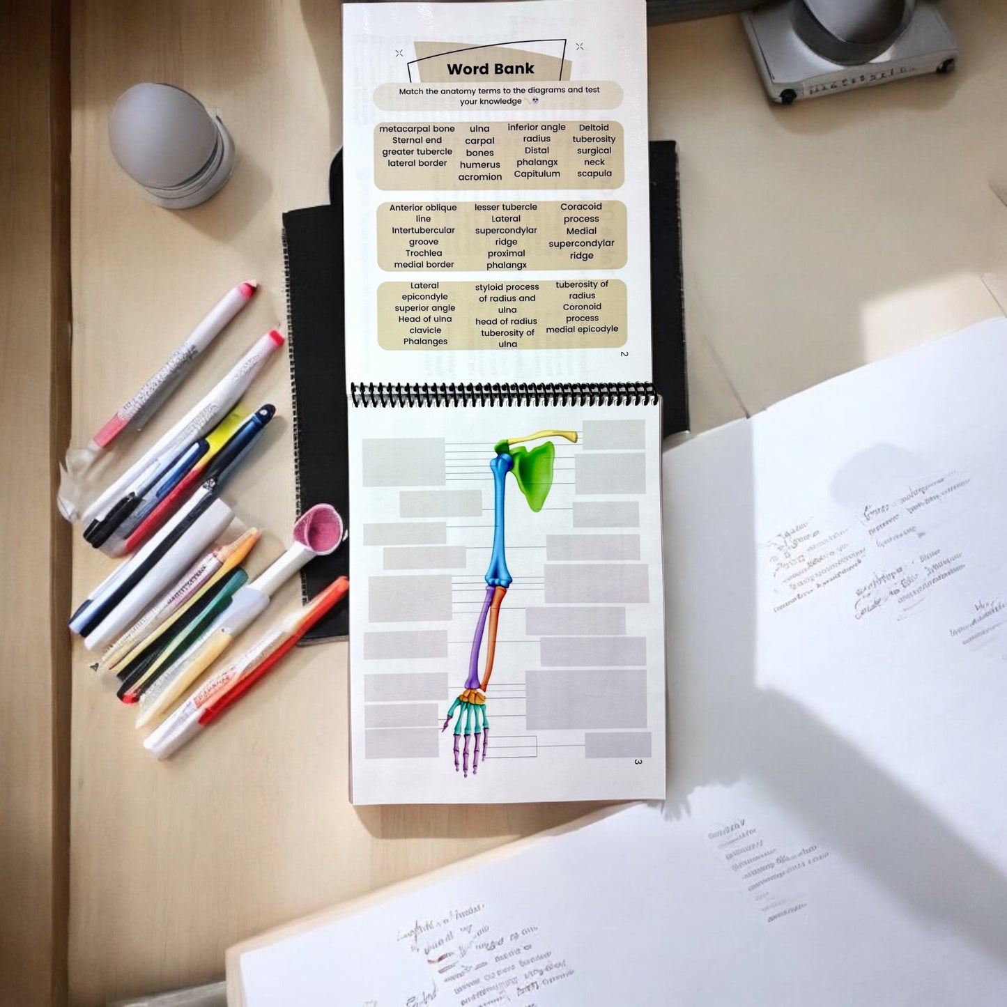 Anatomy Workbook