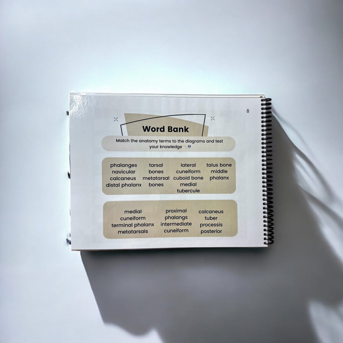 Anatomy Workbook