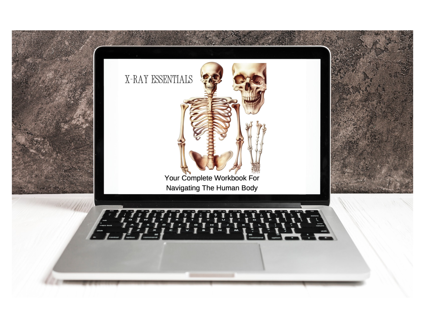 Anatomy Workbook (Digital)