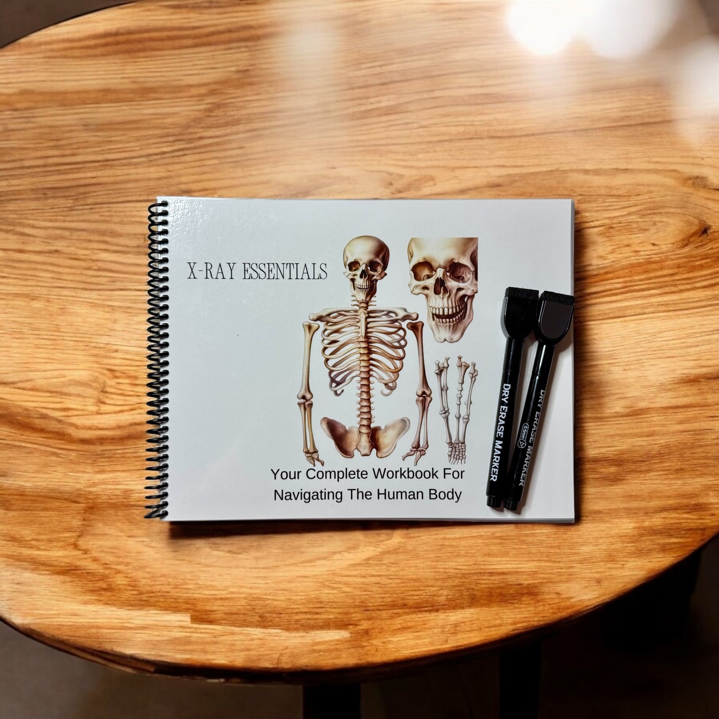 Anatomy Workbook