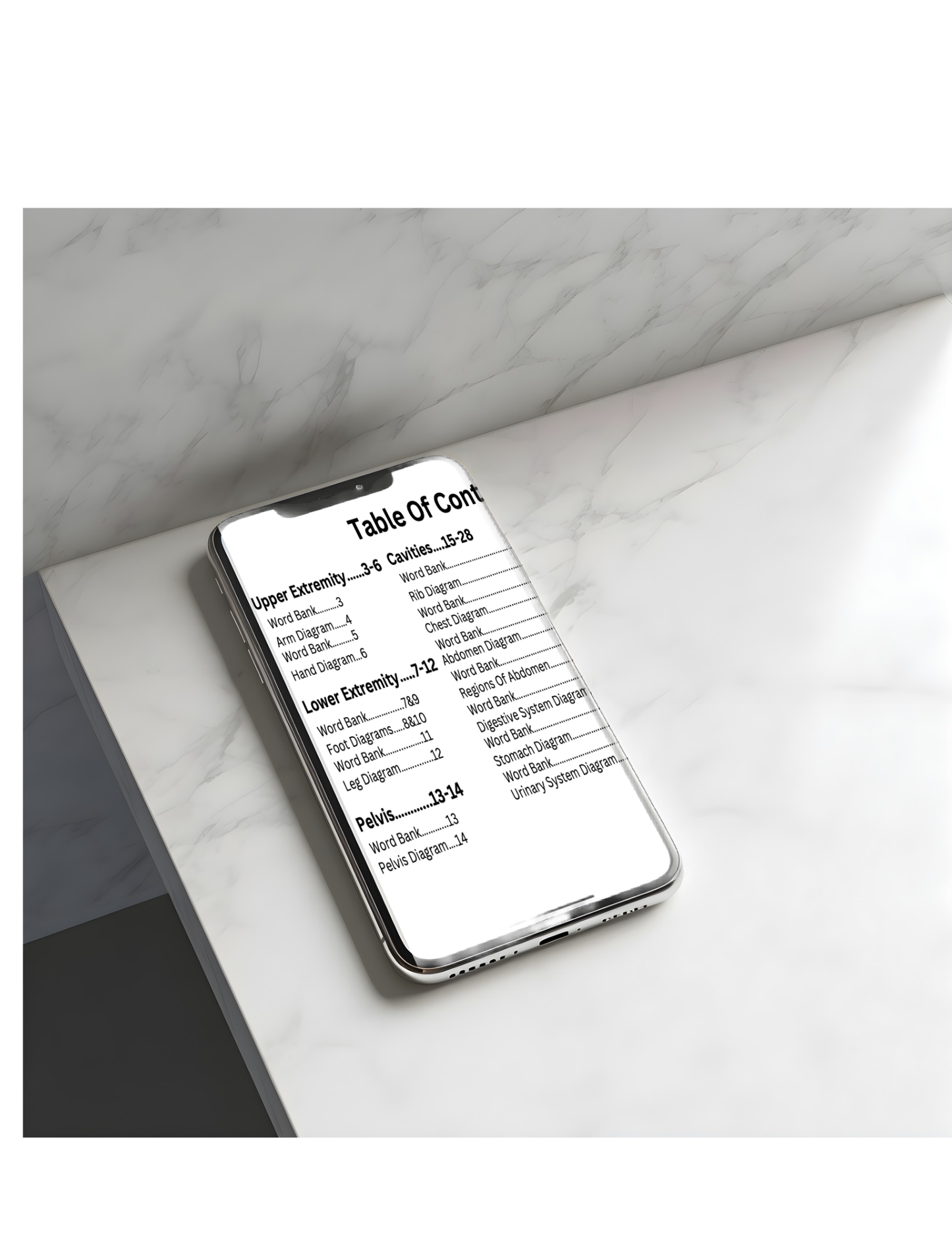 Anatomy Workbook (Digital)