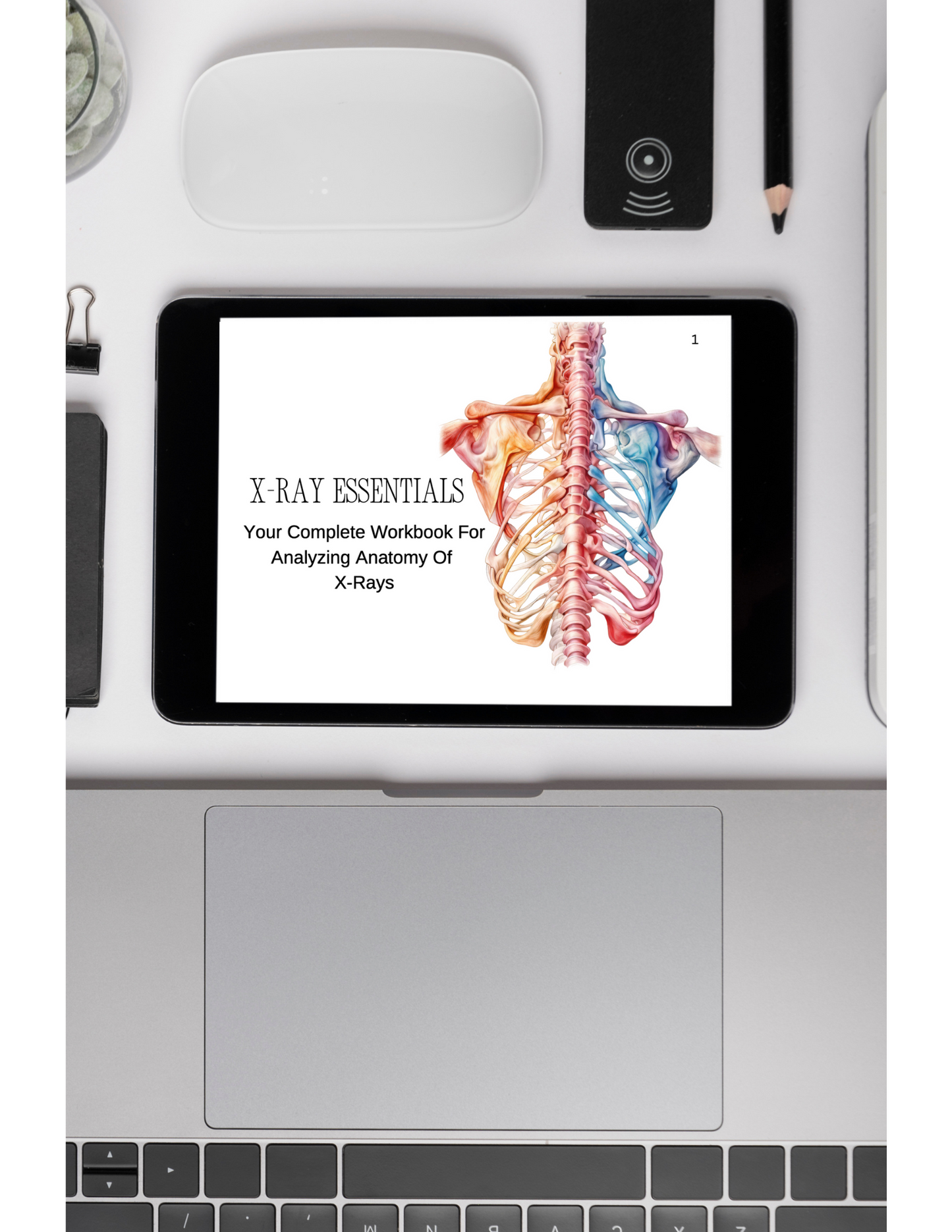 X-Ray Workbook (Digital)