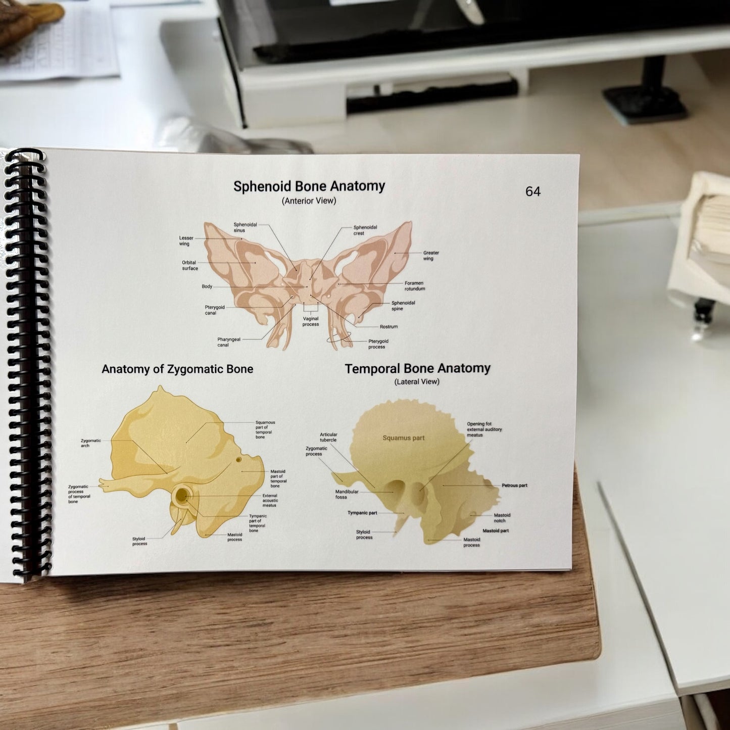 Anatomy Workbook