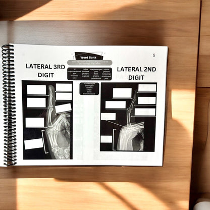 X-Ray Workbook