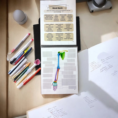 Anatomy Workbook