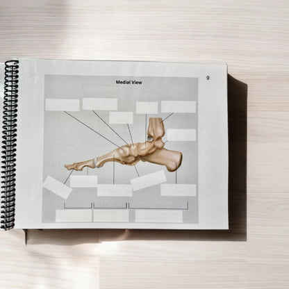 Anatomy Workbook