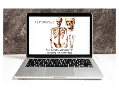 Anatomy Workbook (Digital)